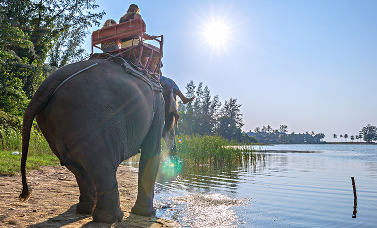 safari-elefantes-tailandia