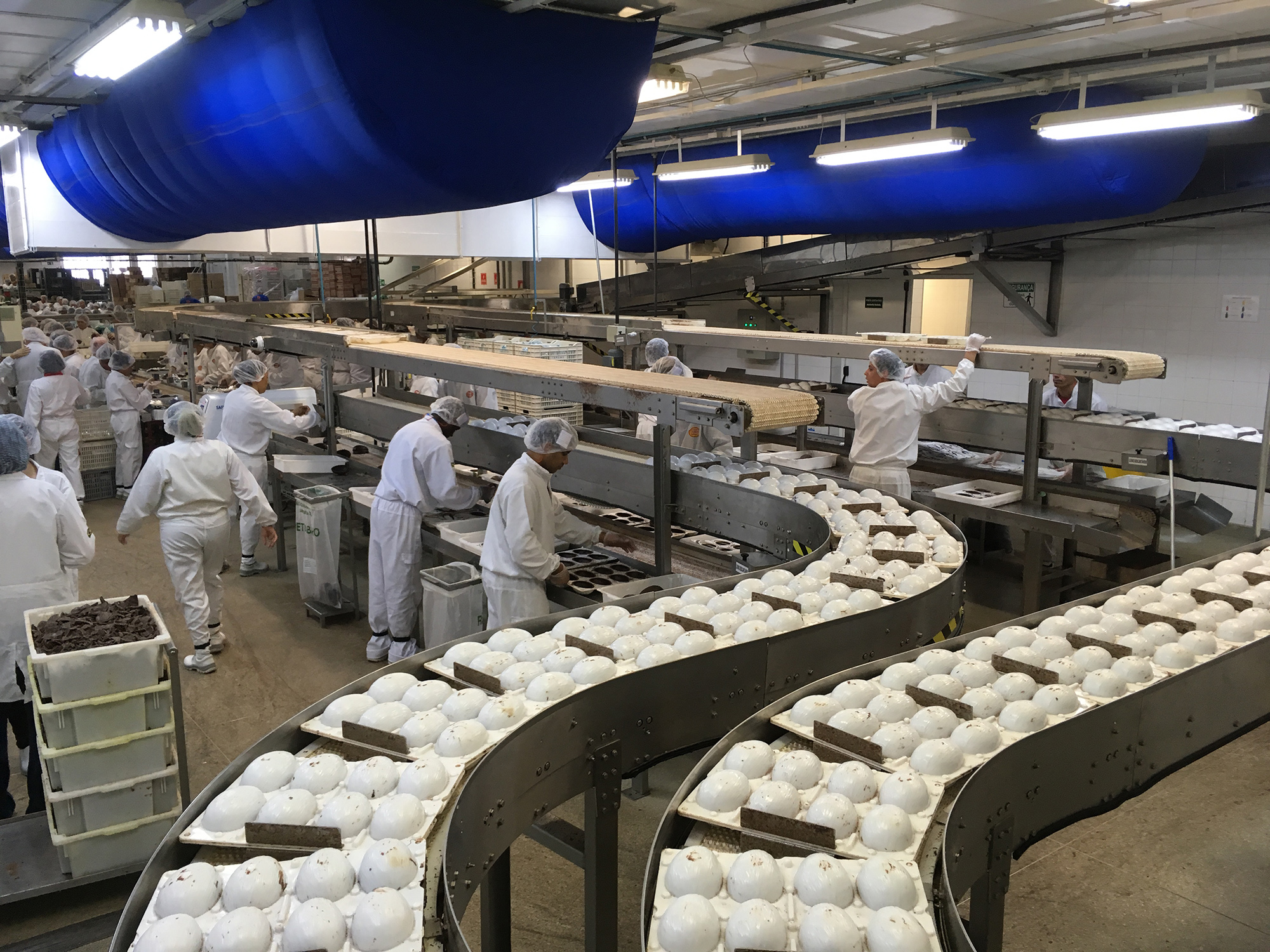 Você sabe como funciona uma fábrica de ovos de Páscoa? Descubra! | CNN Brasil Soft