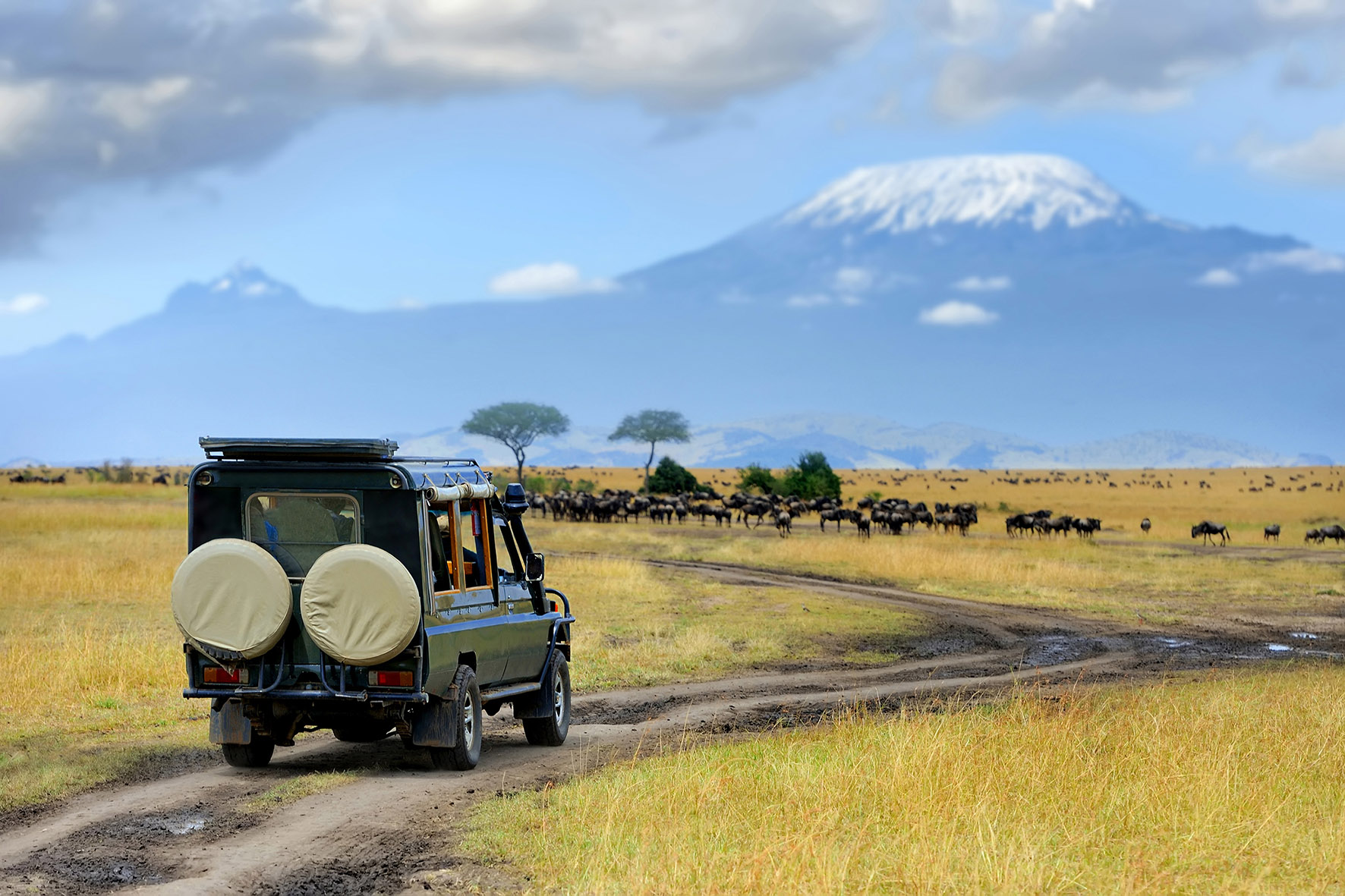 Safari na Africa
