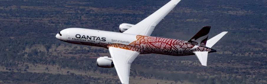 Sob protesto de ambientalistas, que criticaram "emissão desnecessária de carbono", passageiros contam como foi embarcar em voo panorâmico na Austrália