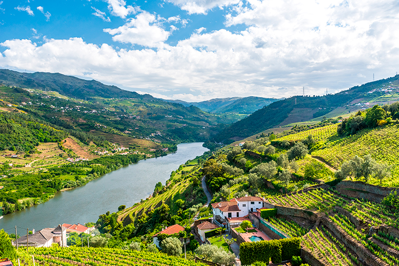 A linda região do Vale do Douro, em Portugal (Foto: Adobe Stock)