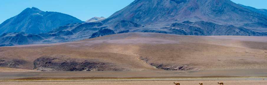 Considerado um dos locais mais secos da Terra, o deserto do Atacama tem paisagens semelhantes as retratadas em Marte, mas também conta com muita beleza e cor