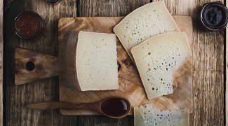 Casu marzu: conheça o queijo com larvas considerado o mais perigoso do mundo