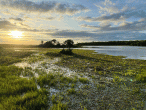 Pantanal, um refúgio na natureza
