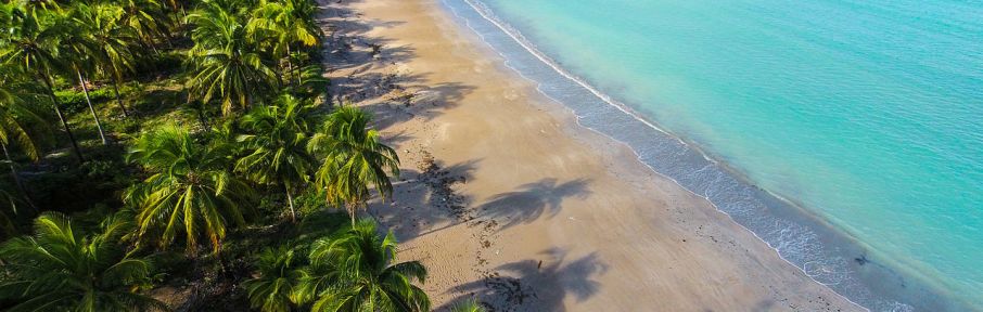 Capital do Alagoas reserva praias espetaculares, um passado bem preservado e piscinas naturais paradisíacas. Confira!