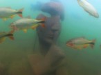 Bonito ganhará primeiro museu subaquático de água doce do mundo