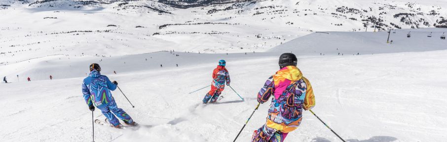 Praticar esportes na neve requer alguns preparos, desde saber quais os itens essenciais para levar na mala até os termos que facilitarão a sua vida nas montanhas
