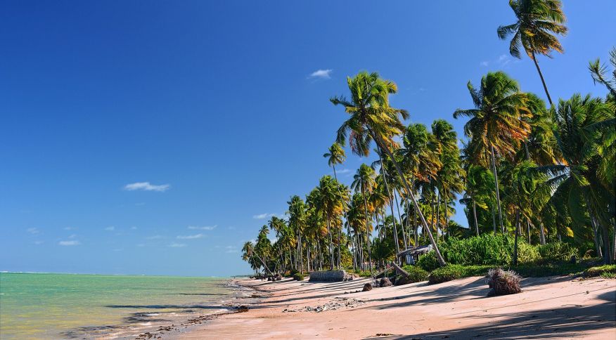 Praia Patacho, próximo a São Miguel dos Milagres, em Alagoas, tem águas cristalinas e uma calmaria longe do agito nas areias